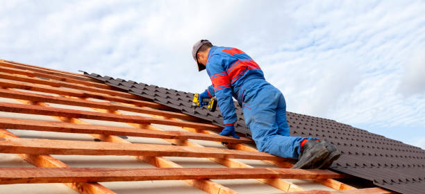Best Sheet Metal Roofing  in Lake Montezuma, AZ